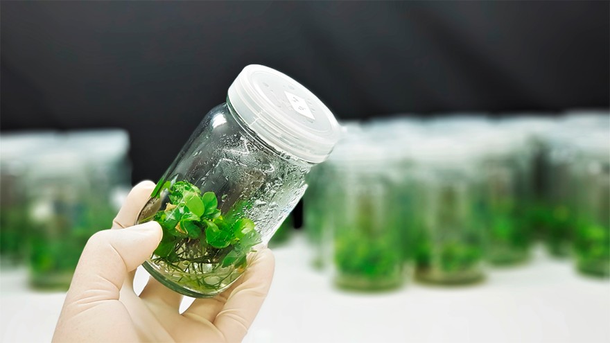 Next Generation FoodTech