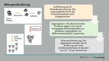 Fraunhofer Forscher*innen zerkleinern Lupinen- und Erbsenprotein mittels Mikropartikulierung und gelangen so an Fettaustauschstoffe auf pflanzlicher Basis. Fraunhofer Forscher*innen zerkleinern Lupinen- und Erbsenprotein mittels Mikropartikulierung und gelangen so an Fettaustauschstoffe auf pflanzlicher Basis.
