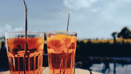 Protein-rich soft drinks without sediment are the goal of Dr Isabel Muranyi and her team at the Fraunhofer IVV. Protein-rich soft drinks without sediment are the goal of Dr Isabel Muranyi and her team at the Fraunhofer IVV.