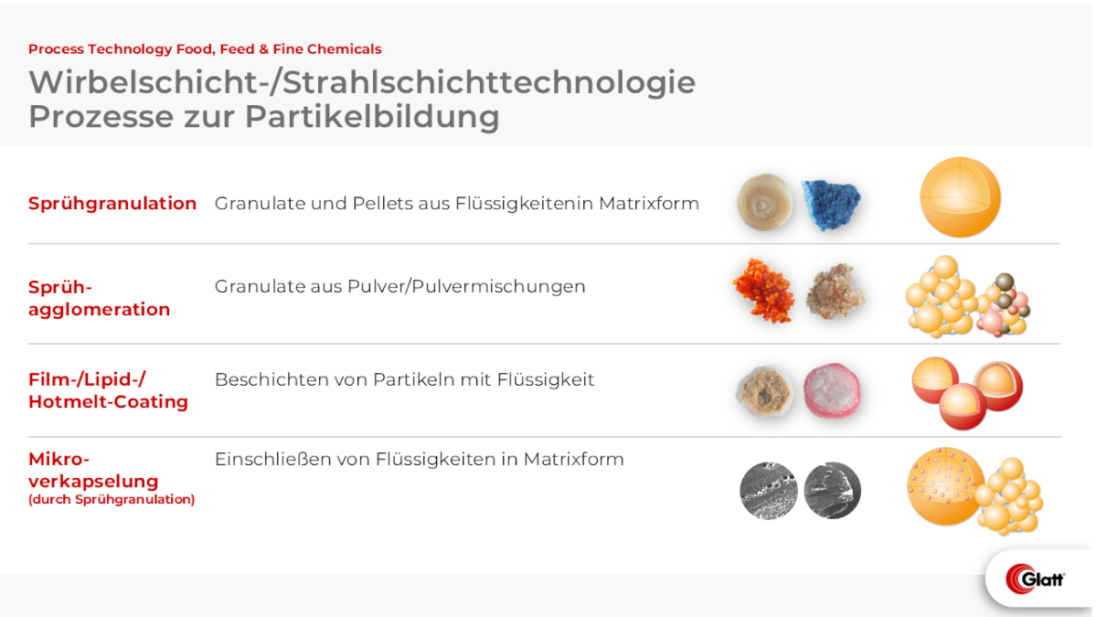 Schematische Darstellung der Partikelbildungsprozesse in der Wirbel- und Strahlschichttechnologie von Glatt.