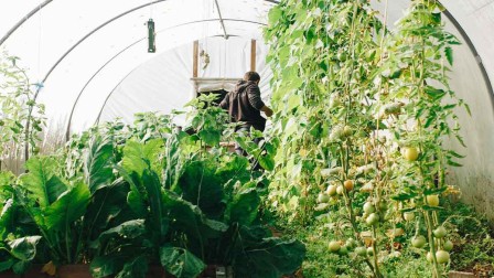 Lang lebe lokal: Urban Farming Lang lebe lokal: Urban Farming