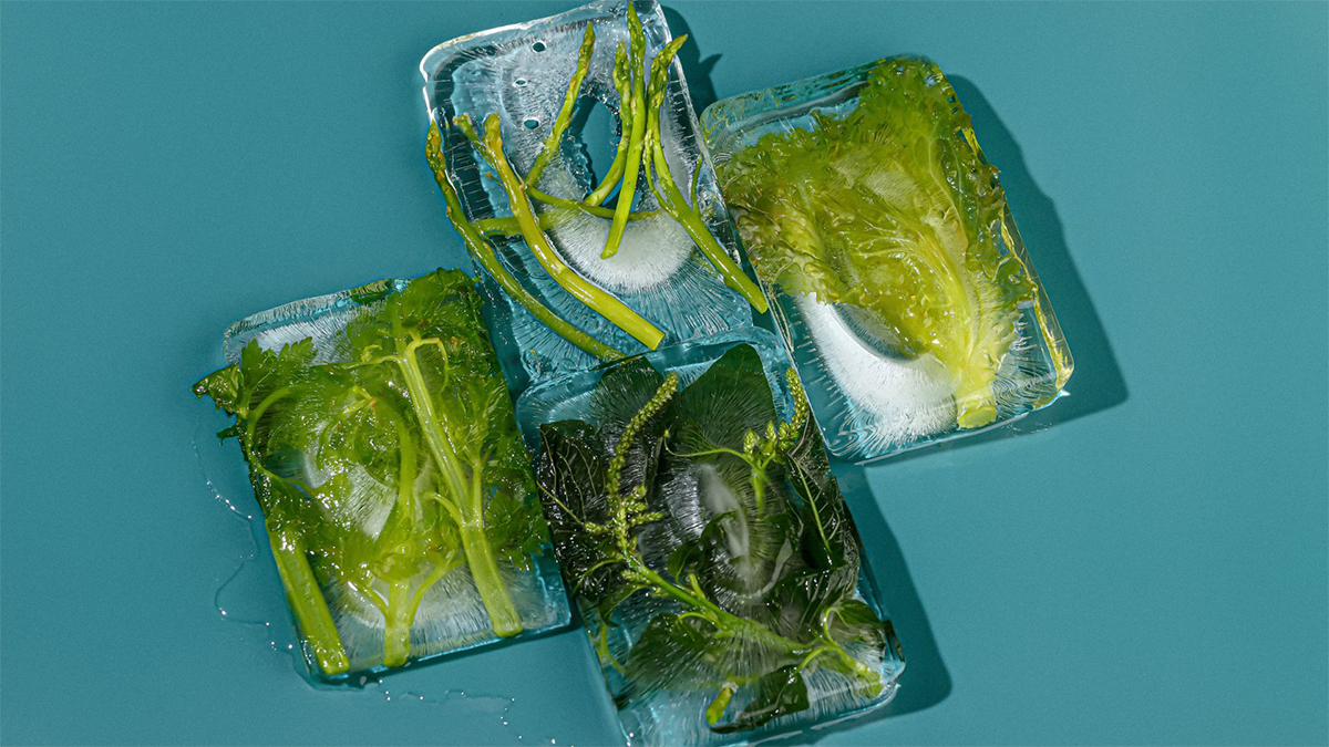 Frozen food in the form of ice cubes