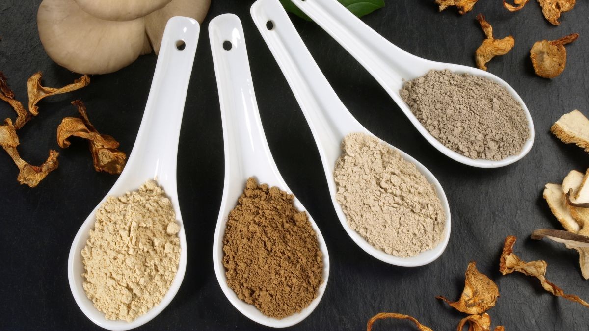 A close-up of Rhiza mycoprotein in powder form showing the texture and variety of nutrients