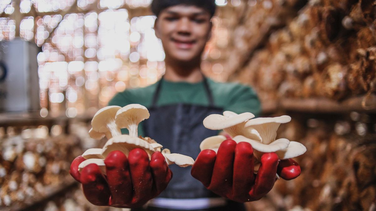 The Better Meat Co. und die Zukunft der Fleischalternativen