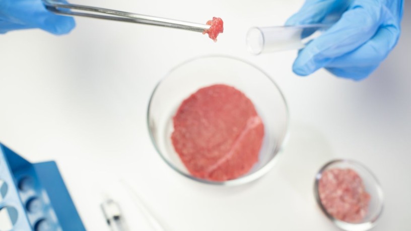 Kultiviertes Fleisch auf einem Teller, bereit zum Verzehr – symbolisch für den Fortschritt und die ethische Debatte um Lab-grown Meat.