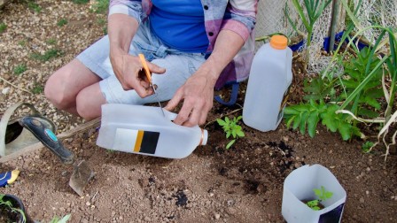 Eine Frau pflanzt Gemüse in alte Flaschen und nutzt diese als Anzuchtschalten