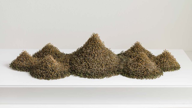 Christiane Löhr, Gebirge, 2021, Efeusamen, Höhe: 16 x 69 x 30 cm, ©Atelier Christiane Löhr, Köln, Courtesy Dierking, Zurich Christiane Löhr, Gebirge, 2021, Efeusamen, Höhe: 16 x 69 x 30 cm, ©Atelier Christiane Löhr, Köln, Courtesy Dierking, Zurich
