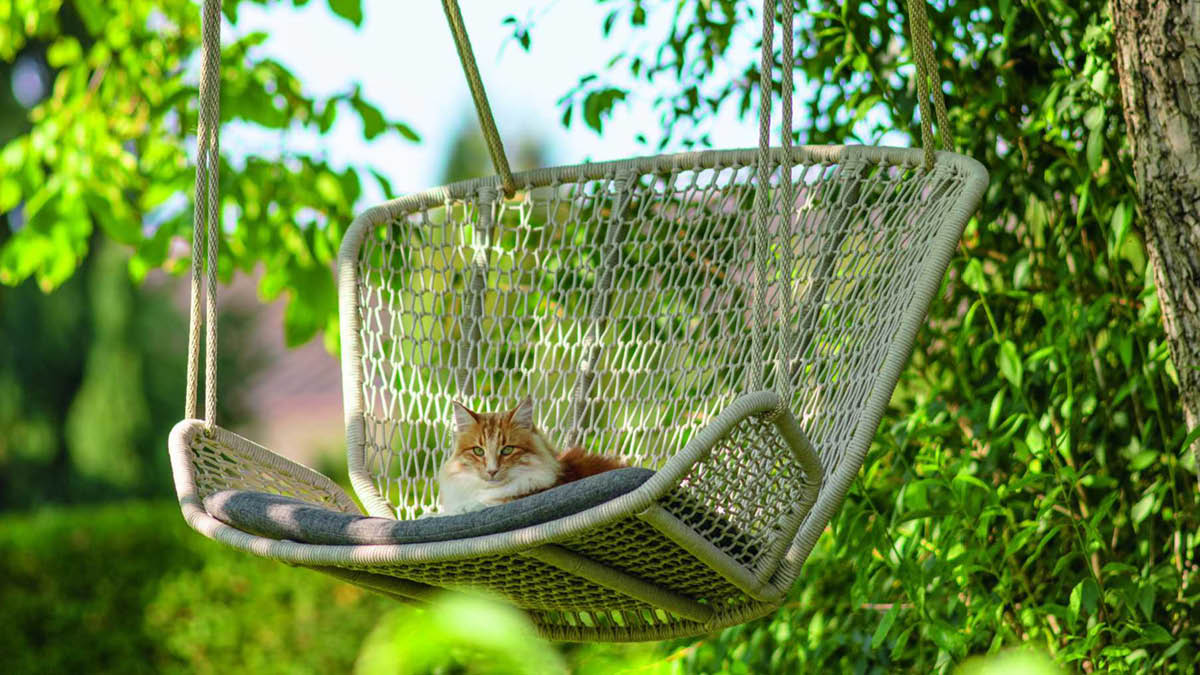小阳台上的Wing light Swing armchair by Fischer Möbel, Photo: Fischer Möbel