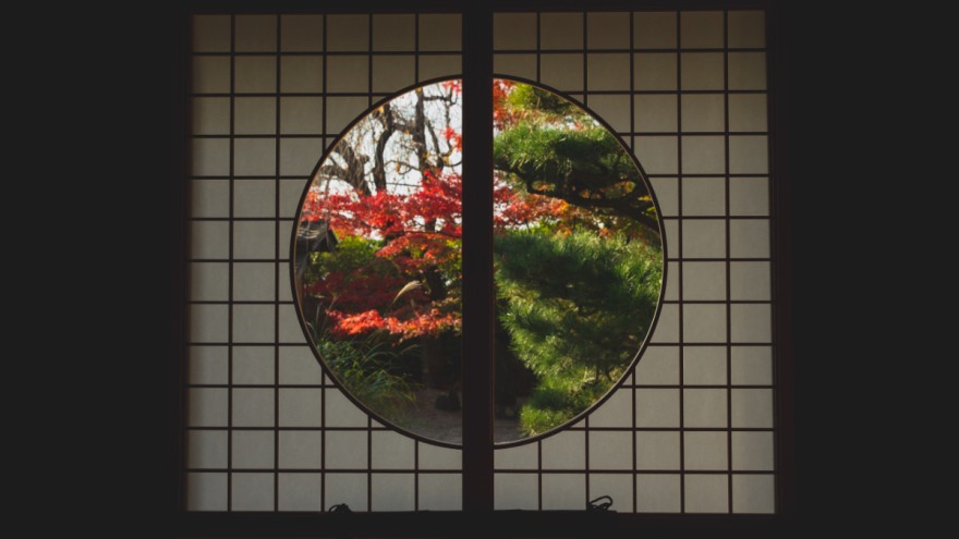 Waldbild auf dunkler Wand von Ryutaro Tsukata auf Pexels. Waldbild auf dunkler Wand von Ryutaro Tsukata auf Pexels.