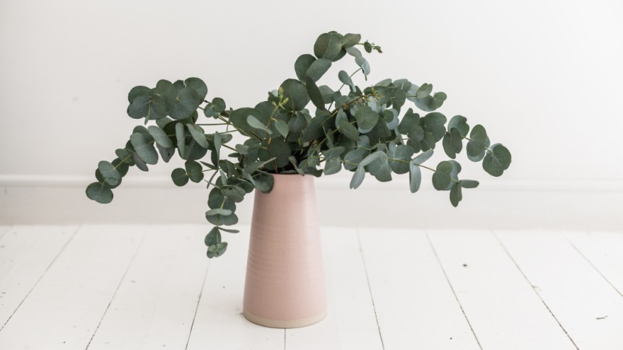 Rosane Keramikvase von Alex Lvrs von Unsplash