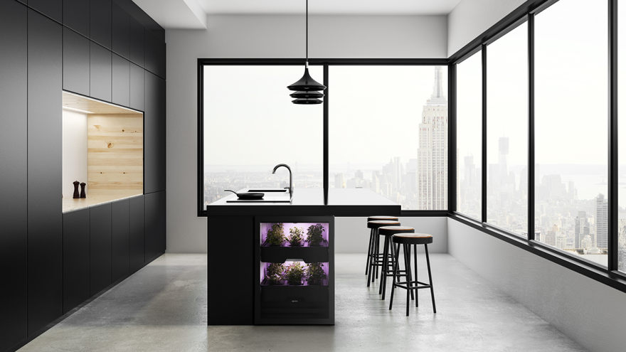 An open-plan kitchen design with black fronts and large panoramic windows. An open-plan kitchen design with black fronts and large panoramic windows.