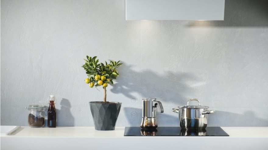 Worktop with kitchen plant by Marcin Galusz on Unsplash. Worktop with kitchen plant by Marcin Galusz on Unsplash.