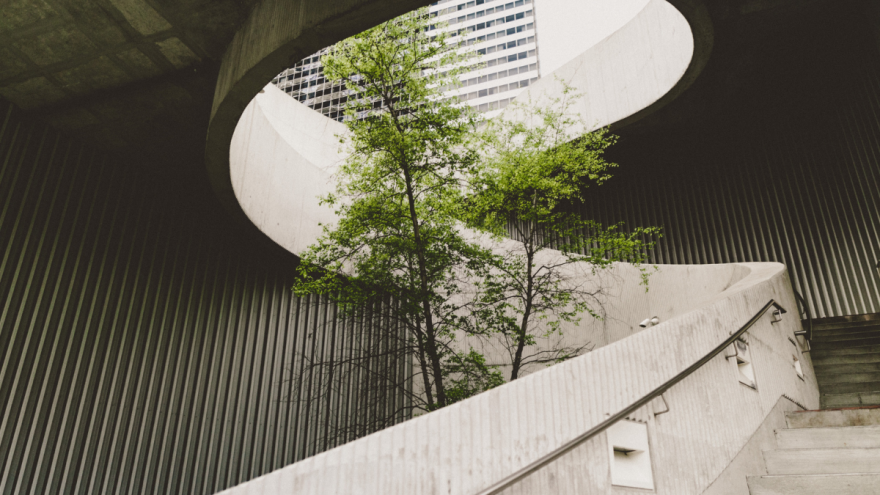 Tree in a curved concrete staircase Tree in a curved concrete staircase