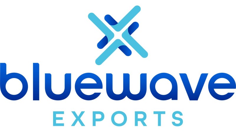 Logo bluewave