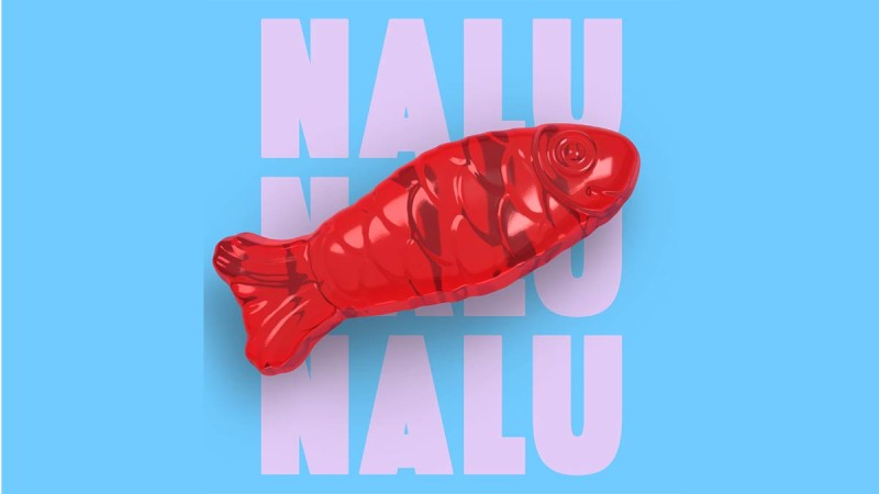 Logo NALU