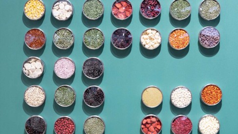 Ingredients_grün_1200x675