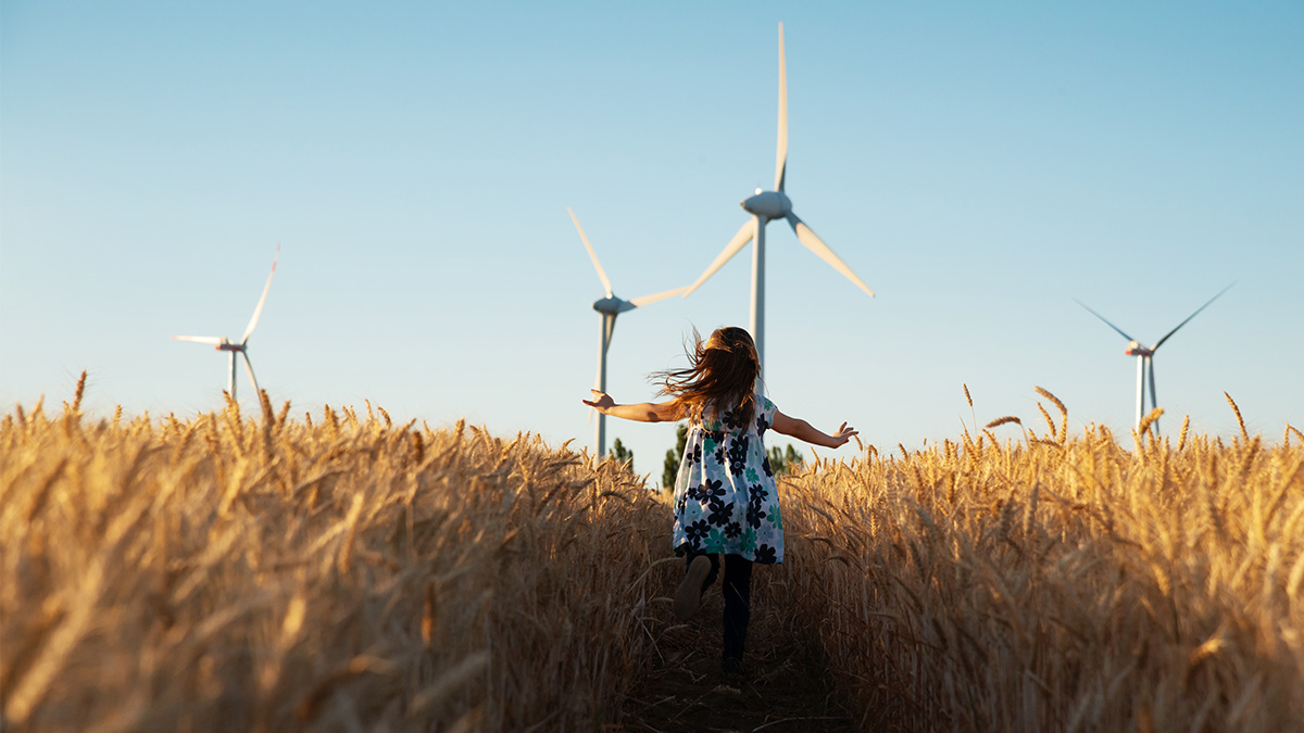 New Sustainable Materials that Surprise