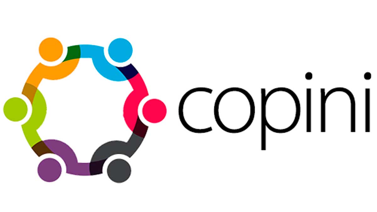 Copini Consulting Ltd. Logo copini