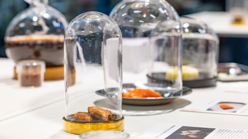Diverse Zutaten unter kleinen Glasglocken