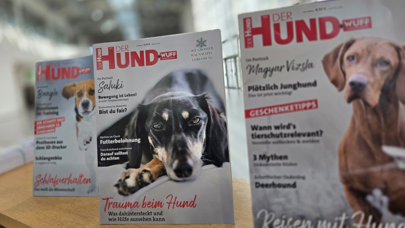 Aufsteller mit drei Ausgaben der Zeitschrift "Der Hund"