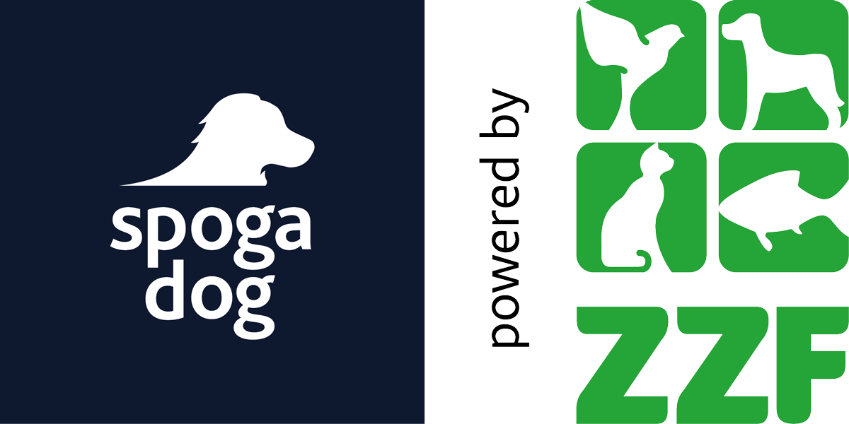 spoga dog