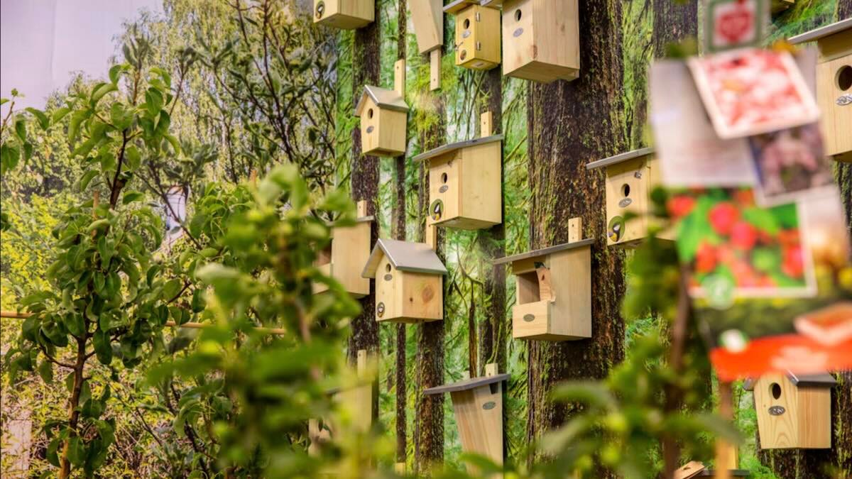 Vogelhäuser aus Holz auf einem Messestand