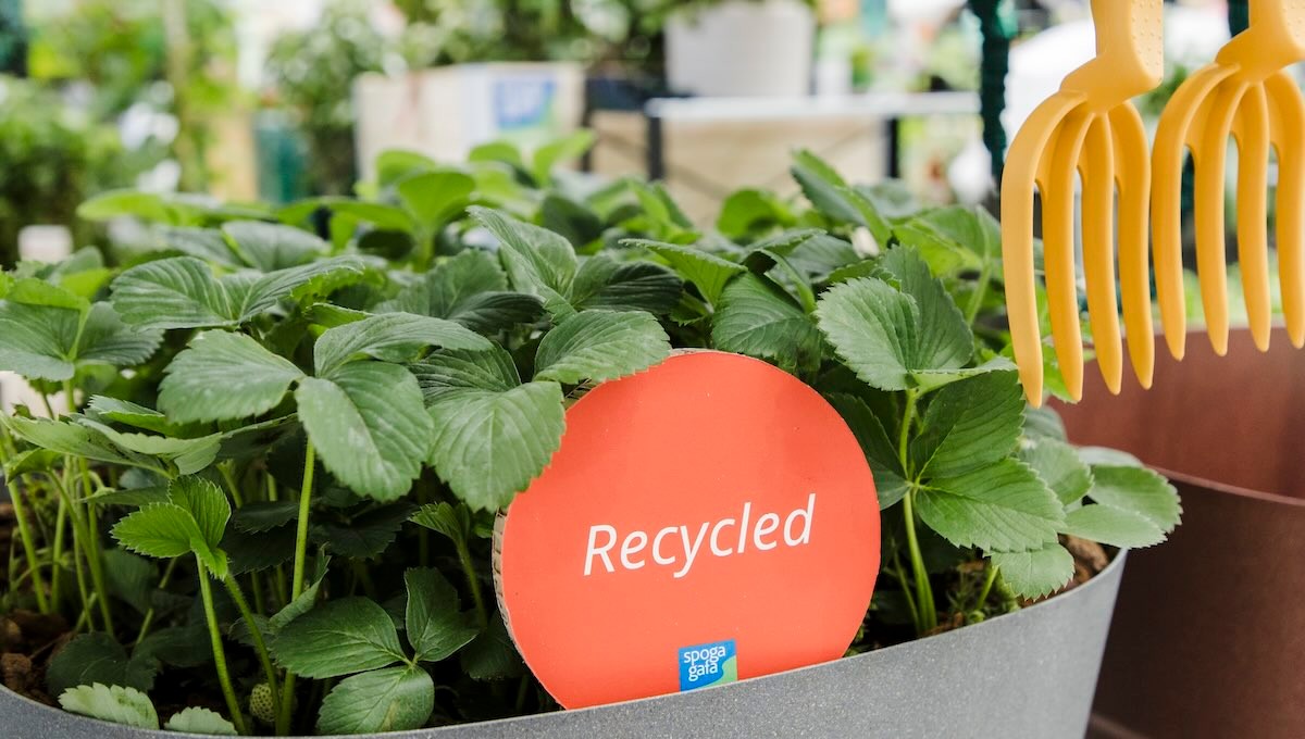 Begrünter Pflanztopf mit Recycling-Kennzeichnung