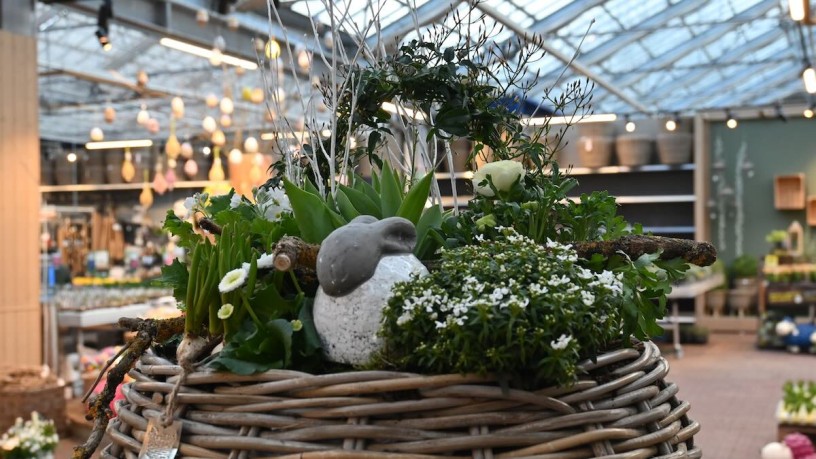 Korb mit Grünpflanzen und Osterhasen 