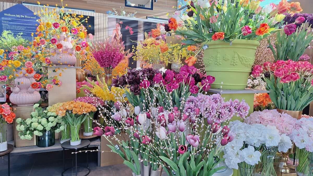 Smart watering system in the herb bed