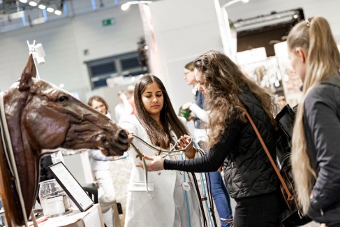 firstspirit_1770537629589horse_26_020_031