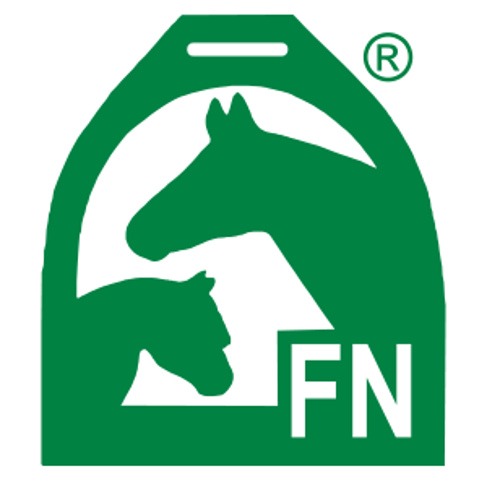logo fn