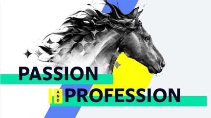 spoga horse spoga horse