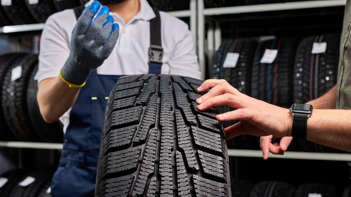 Credits: Shutterstock 1912577230